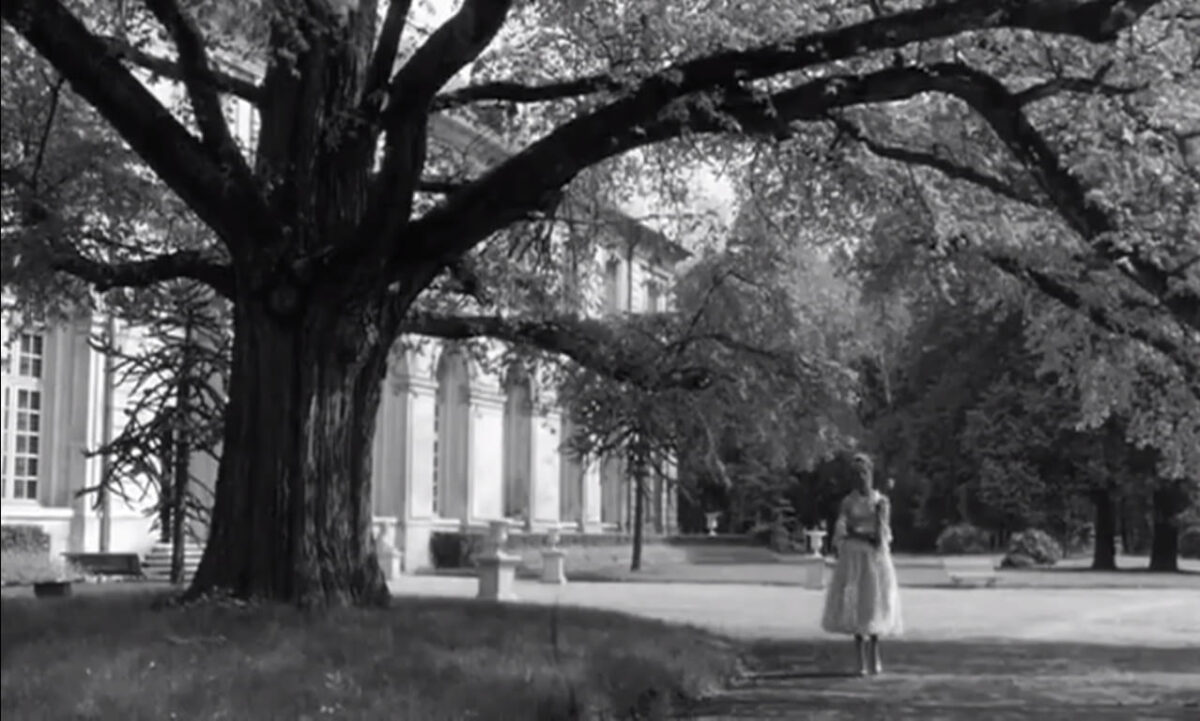 Jacqueline (Edith Scob) bajo un árbol en su castillo. JUDEX. Georges Franju. estrellamillansanjuan.es