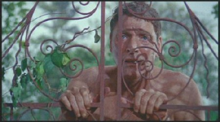 Ned Merrill (Burt Lancaster) en un final desconcertante e impactante. ante su casa. THE SWIMMER. Frank Perry. estrellamillansanjuan.es