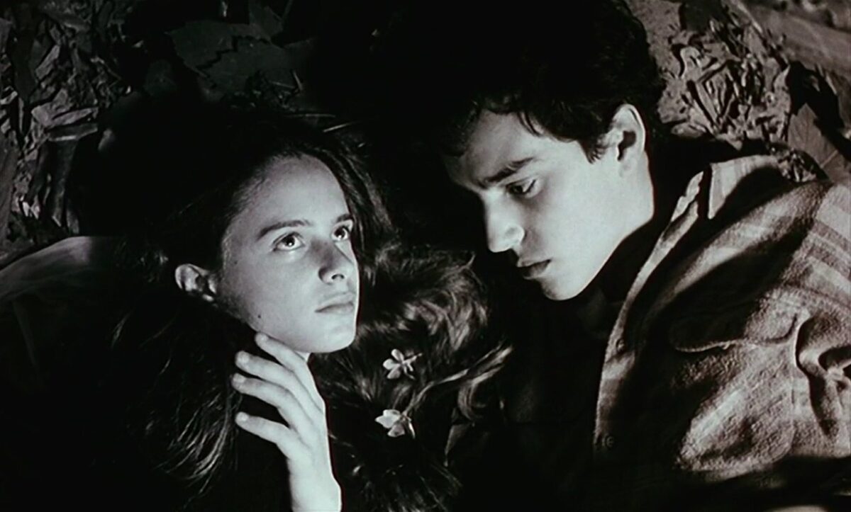 Cabezas de enamorados en el bosque tumbados. Frágil Como o Mundo. Rita Azevedo. estrellamillansanjuan.es