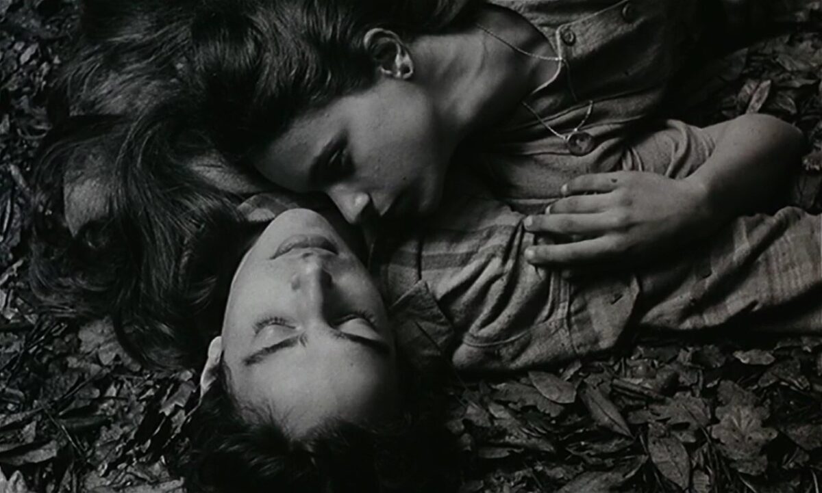 Cabezas de enamorados en el bosque tumbados. Frágil Como o Mundo. Rita Azevedo. estrellamillansanjuan.es