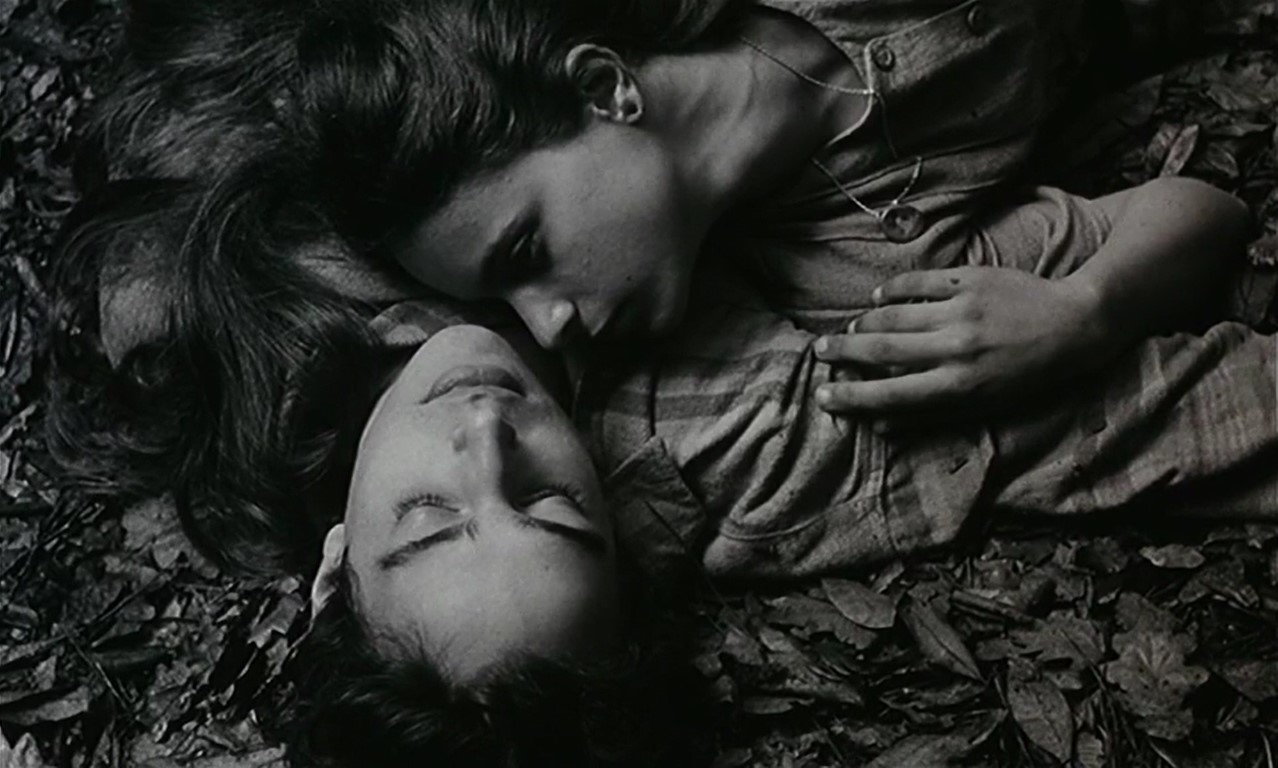 Cabezas enamorados en suelo. Fragil Como o Mundo