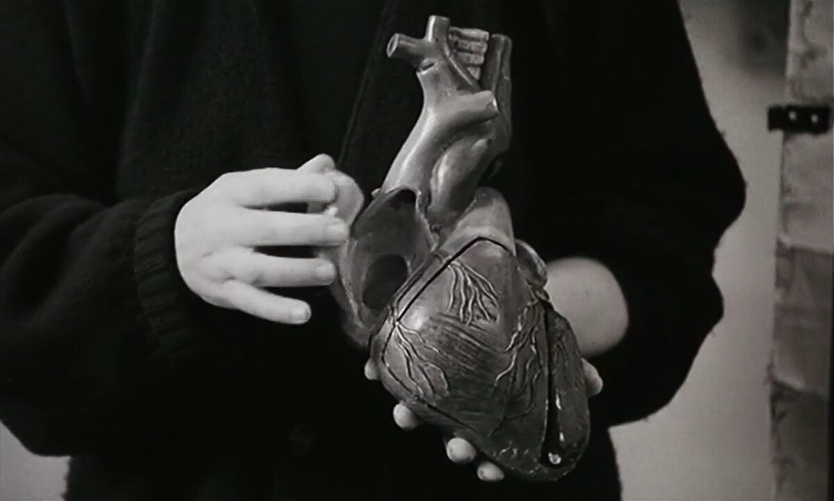 FRÁGIL COMO O MUNDO (2001) de Rita Azevedo Gomes 5 Explicación funcionamiento del corazón. Frágil Como o Mundo. Rita Azevedo. estrellamillansanjuan.es