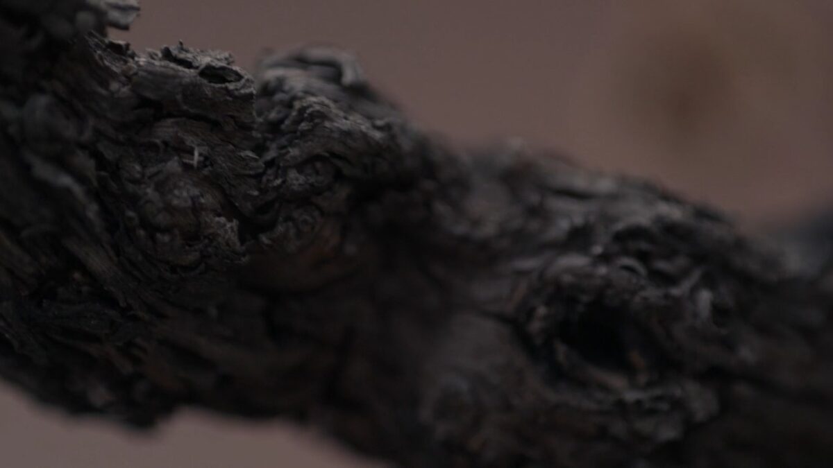 Plano detalle planta en alta definición casa Luis de Pablo. DÉJAME HABLAR. Samuel Alarcón. estrellamillansanjuan.es