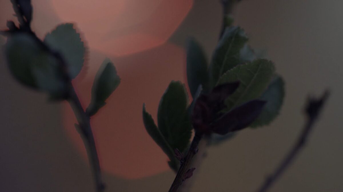 Plano detalle planta casa Luis de Pablo. DÉJAME HABLAR. Samuel Alarcón. estrellamillansanjuan.es