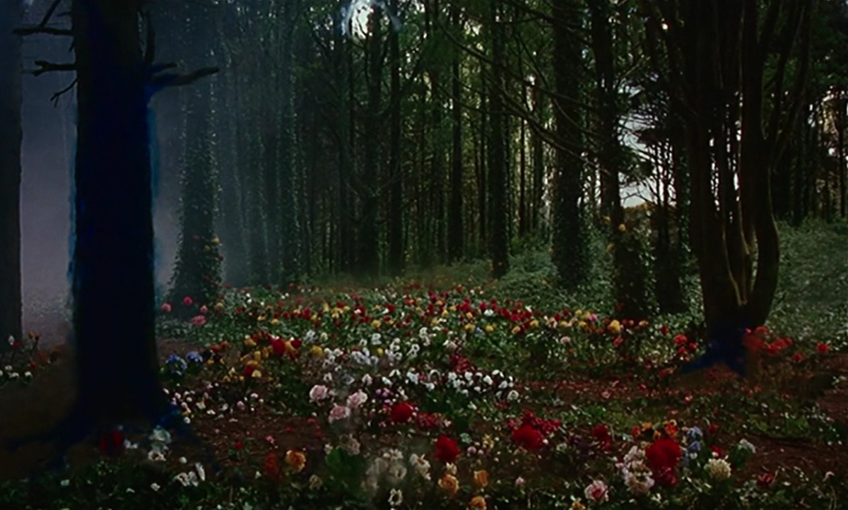 FRÁGIL COMO O MUNDO (2001) de Rita Azevedo Gomes 11 Bosque a color con flores. Frágil Como o Mundo. Rita Azevedo. estrellamillansanjuan.es