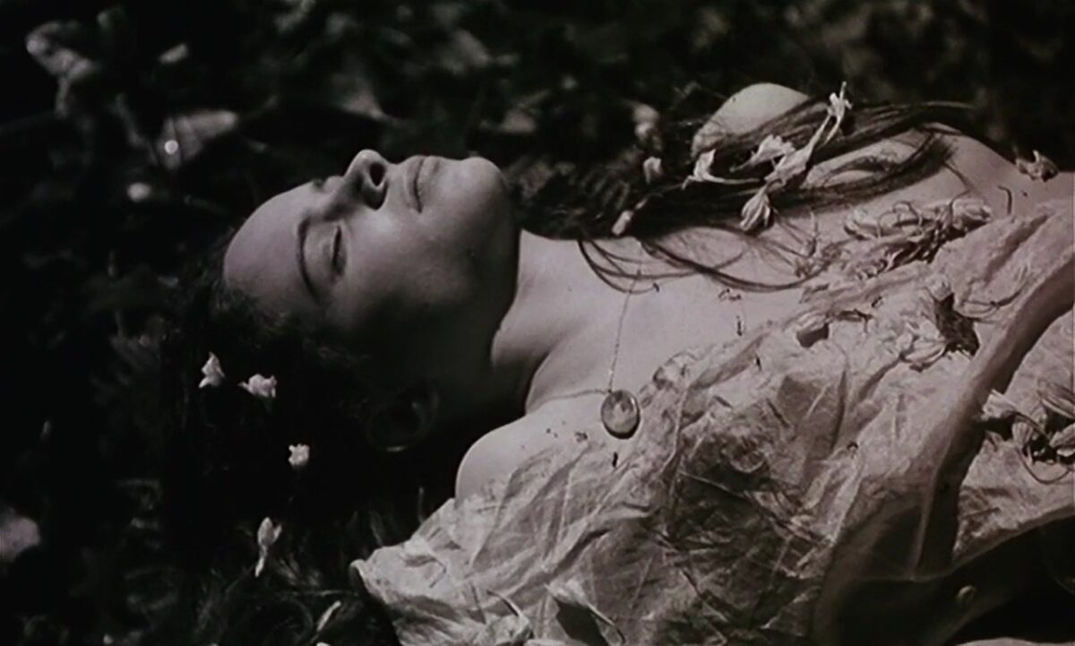 Vera muerta desfallecida en el bosque. Frágil Como o Mundo. Rita Azevedo. estrellamillansanjuan.es