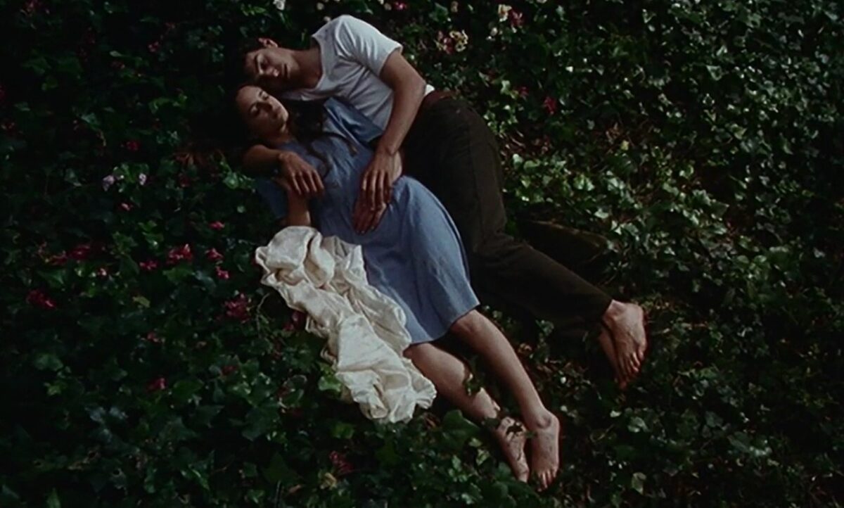 Cuerpos tumbados a color de enamorados en el bosque tumbados. Frágil Como o Mundo. Rita Azevedo. estrellamillansanjuan.es