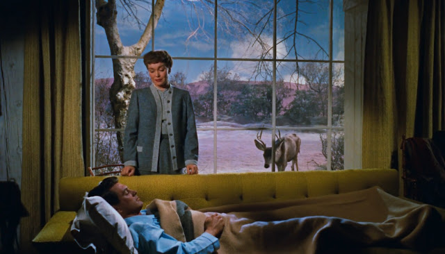 “All that Heaven allows” (Solo el cielo lo sabe, 1955). Rock Hudson y Jane Wyman. EL MELODRAMA CLÁSICO NORTEAMERICANO. estrellamillansanjuan.es