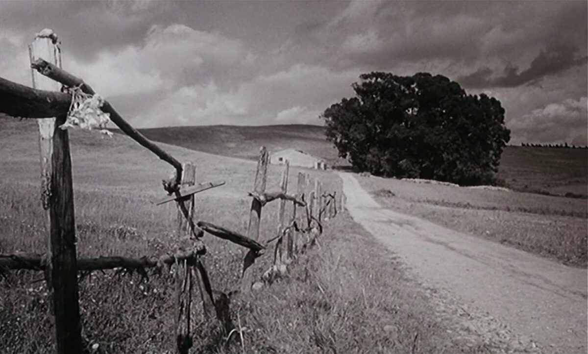 FRÁGIL COMO O MUNDO (2001) de Rita Azevedo Gomes 7 Vaya donde depositan las cartas los enamorados con árbol al fondo. Frágil Como o Mundo. Rita Azevedo. estrellamillansanjuan.es