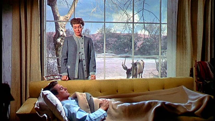 ALL THAT HEAVEN ALLOWS (1955). Douglas Sirk. (Ventanas en el cine). estrellamillansanjuan.es