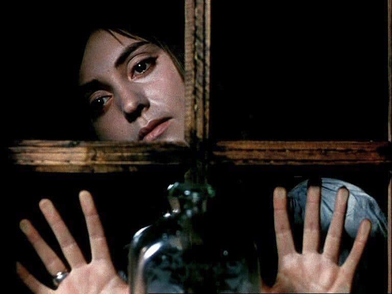 LOS CORCELES DE FUEGO (1965). Serguéi Parajánov. (Ventanas en el cine). estrellamillansanjuan.es