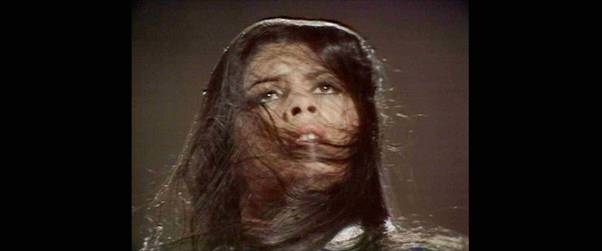 La fuerza expresiva de La Singla. La Singla. Paloma Zapata. estrellamillansanjuan.es