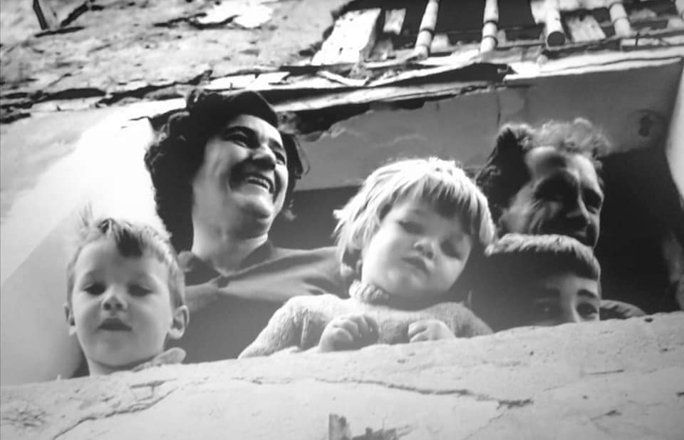 LEJOS DE LOS ÁRBOLES (1963-71). Jacinto Esteva Grewe. (Ventanas en el cine). estrellamillansanjuan.es