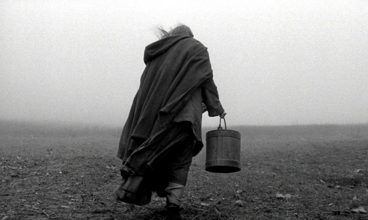 EL CABALLO DE TURÍN. Paisaje yermos en el cine. estrellamillansanjuan.es