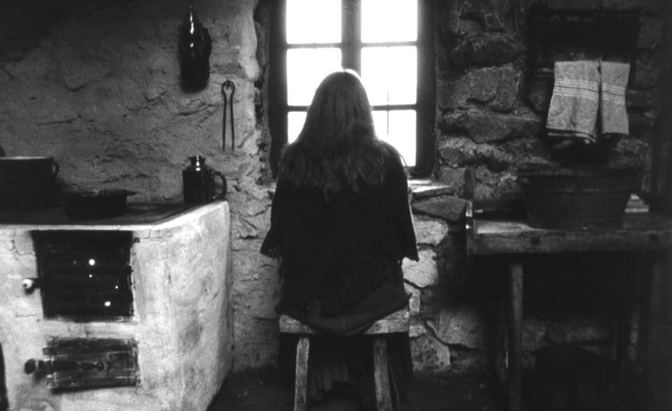 EL CABALLO DE TURÍN (2011). Béla Tarr. (Ventanas en el cine). estrellamillansanjuan.es
