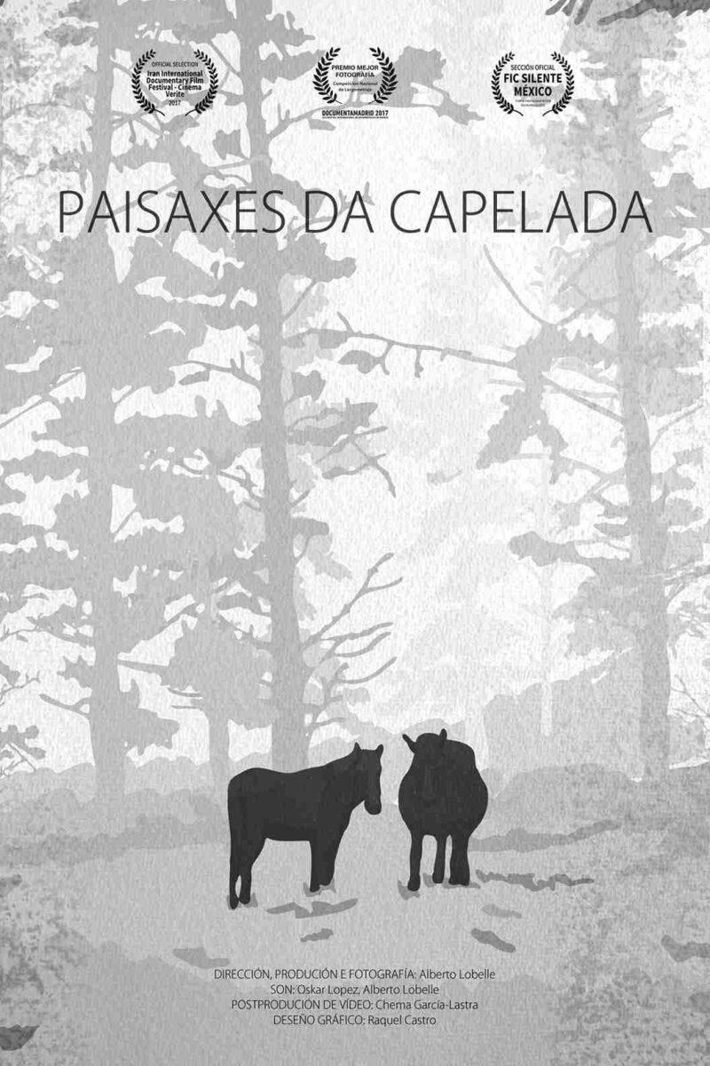Cartel. Paisaxes da Capelada. Alberto Lobelle. estrellamillansanjuan.es