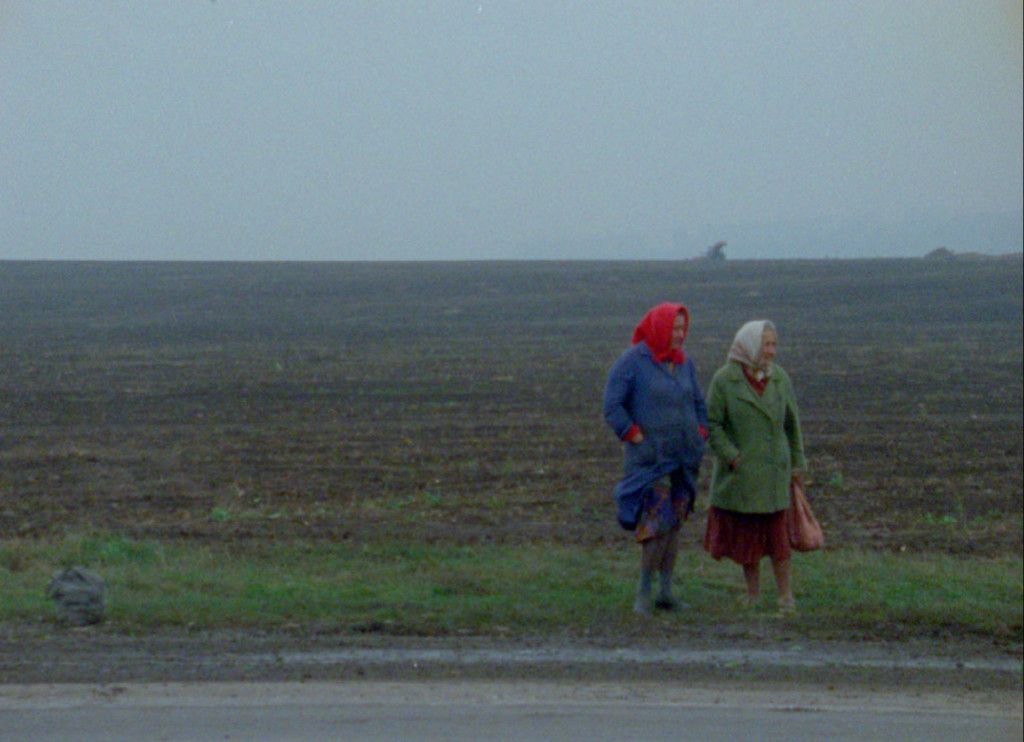 LAS MEJORES ROAD MOVIES. El cine más libre. estrellamillansanjuan.es