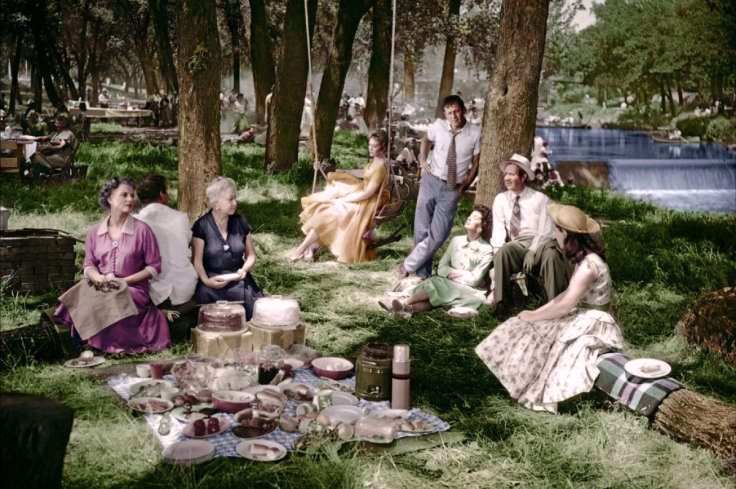 Reunión en fiesta campestre. Picnic. Joshua Logan. estrellamillansanjuan.es