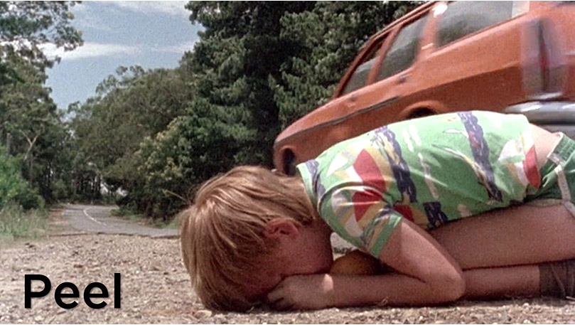 LAS MEJORES ROAD MOVIES. El cine más libre. estrellamillansanjuan.es