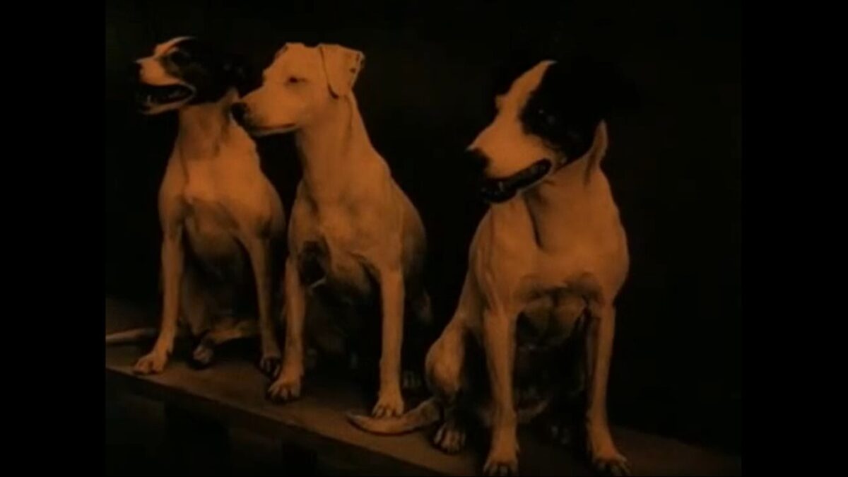 PRAESIDENTEN (1919) de Carl Theodor Dreyer. 17 Perros en boda. Praesidenten (El presidente). C.T. Dreyer. estrellamillansanjuan.es