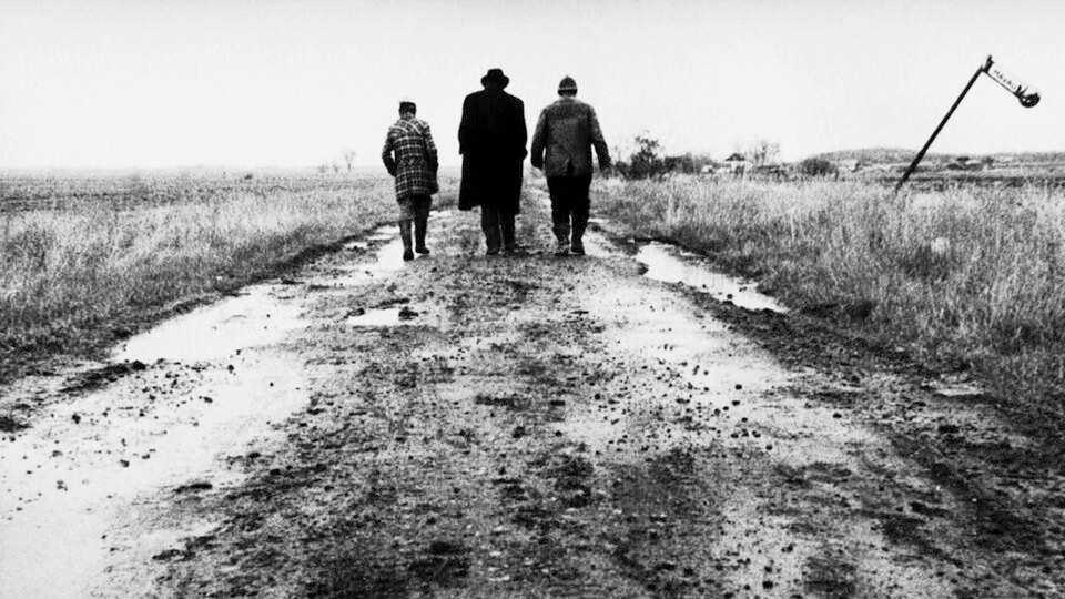 SATÁNTÁNGÓ- LAS MEJORES ROAD MOVIES. El cine más libre. estrellamillansanjuan.es