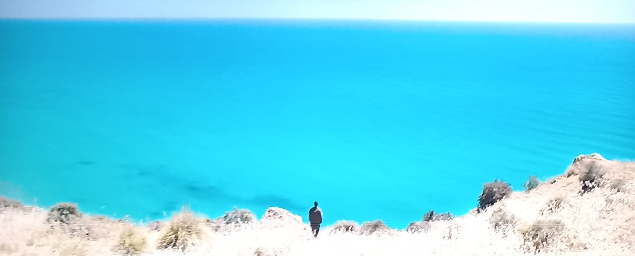 Leonora Addio. La despedida fraternal. estrellamillansanjuan.es