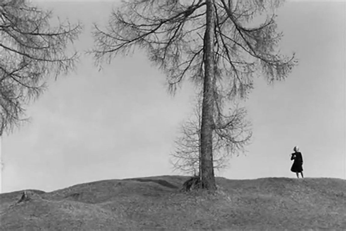 Florence en la lejanía con árbol. Silueta. Les yeux cernés. Robert Hossein. estrellamillansanjuan.es