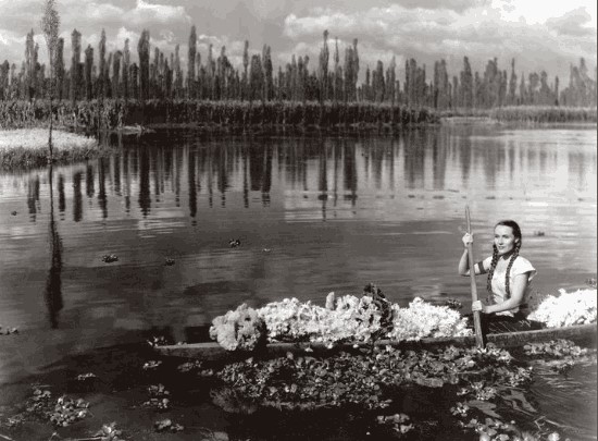 LOS RÍOS Y EL CINE. Análisis profundo del cine fluvial. 2ª parte 13 María Candelaria. Canoa flores. CINE FLUVIAL. estrellamillansanjuan.es