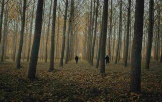 Bosque espeso, huida. Los cangrejos. Rubén Seca. estrellamillansanjuan.es